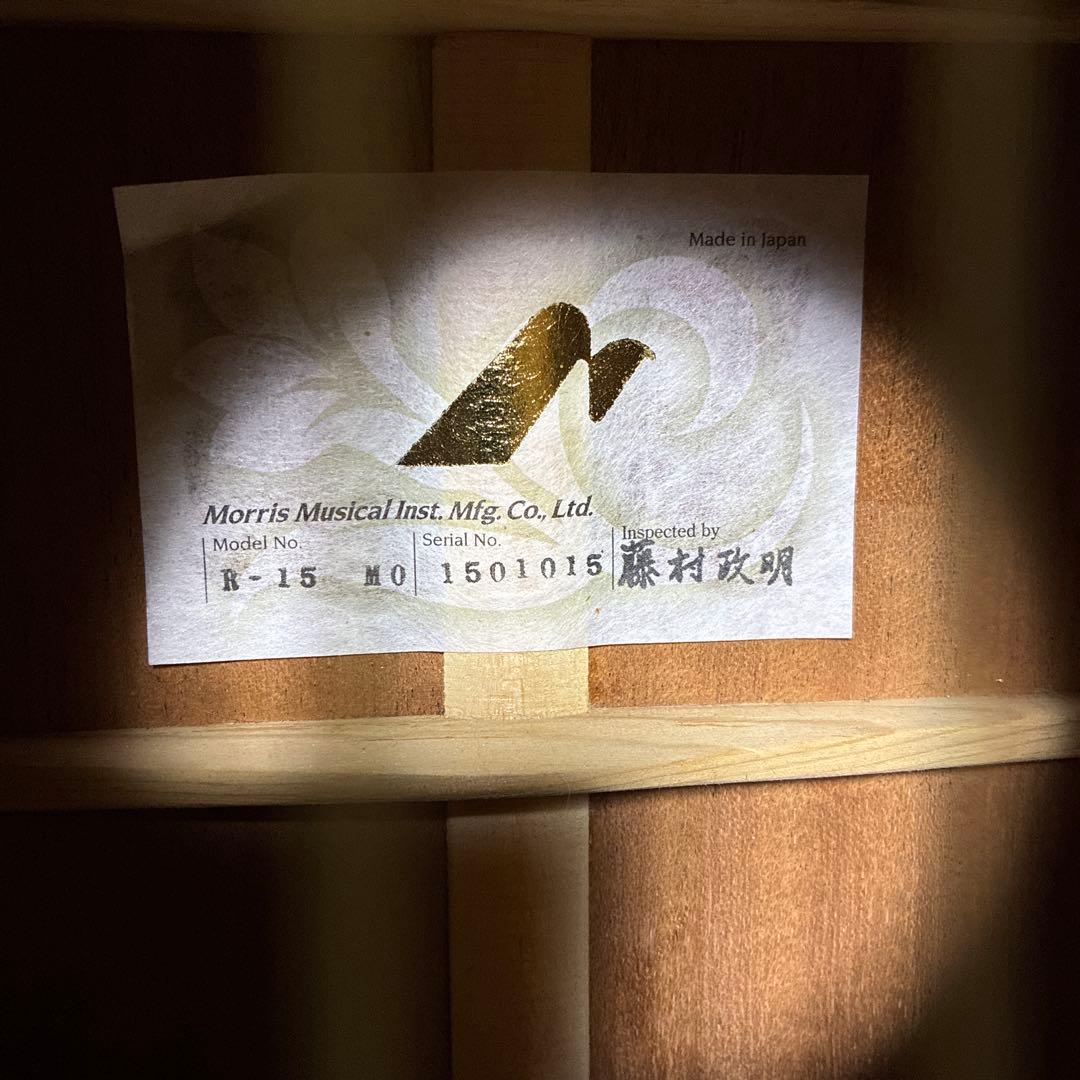 Morris R -15 MO エレアコ　藤村政明　プレミアムシリーズ