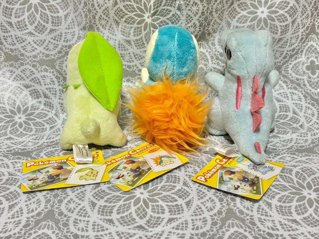 【ポケモンセンター限定】ポケモンキャンバスジョウト御三家