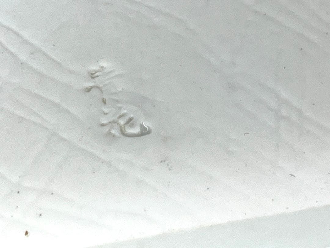 か*ん様 有田焼 青花 皿など色々まとめて ばら 14点