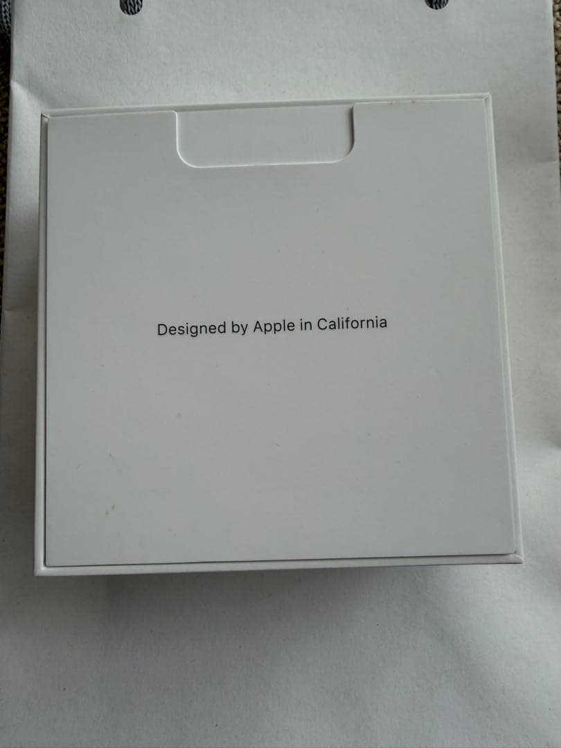 Apple AirPods Pro（第1世代）です。