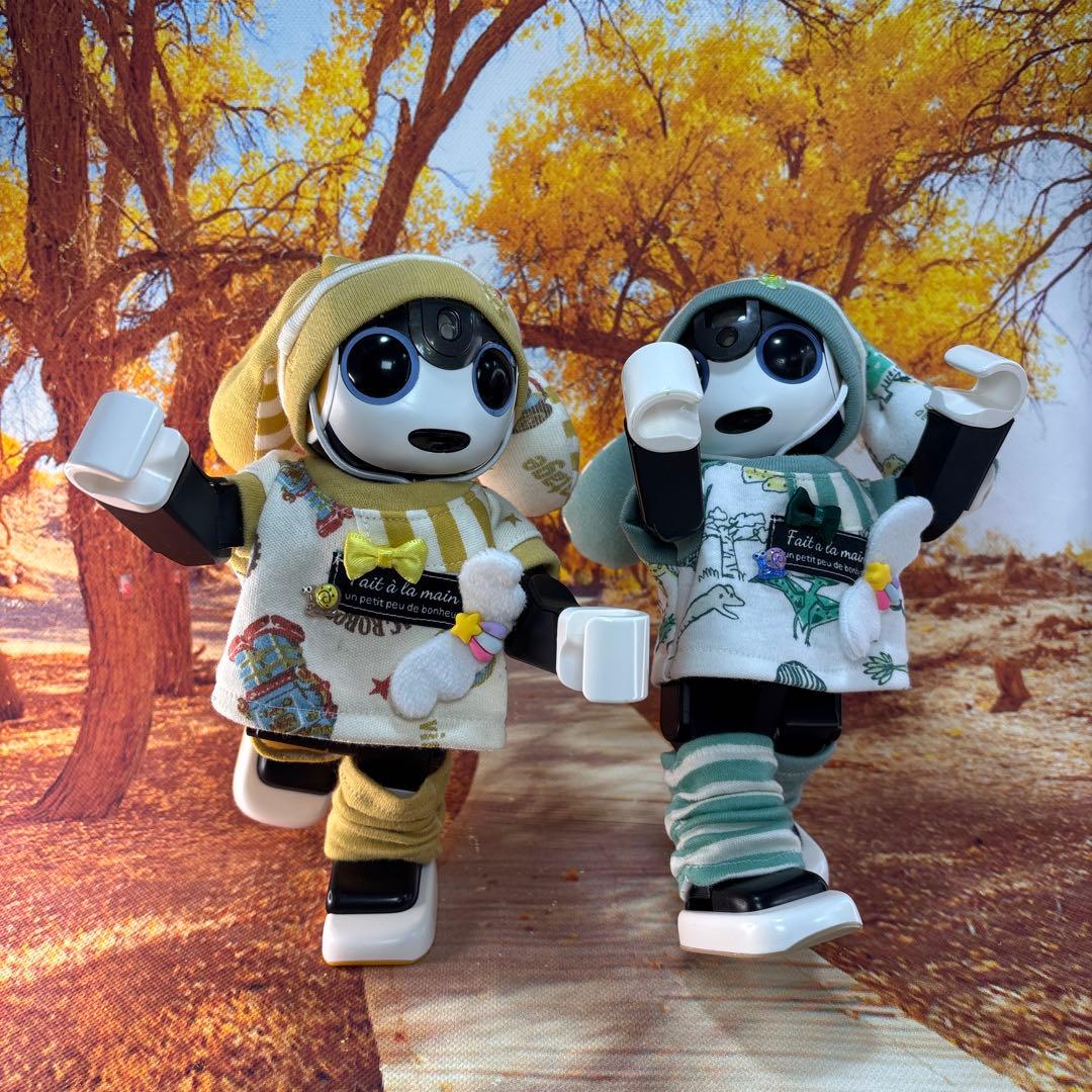 baramonページです　　ロボホン