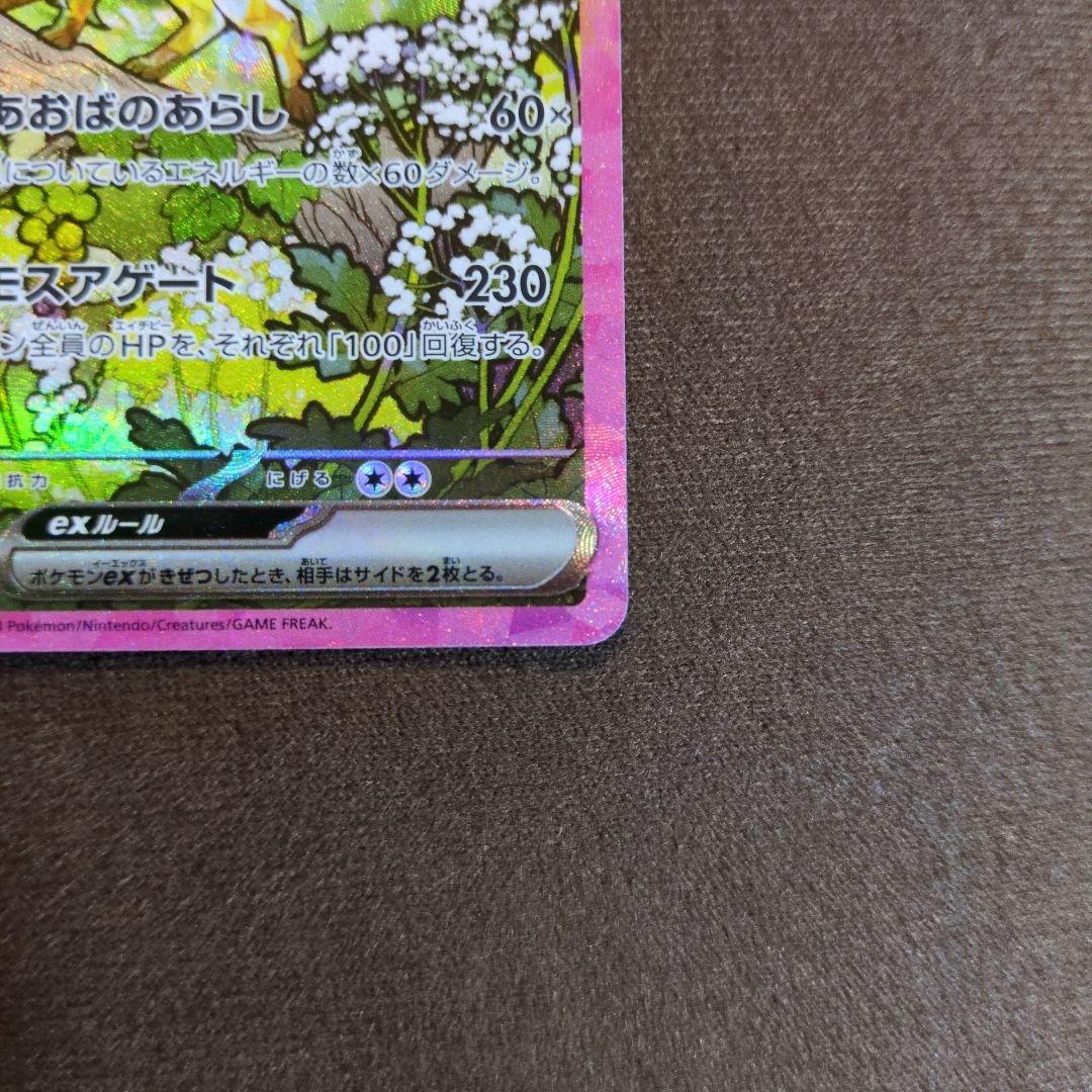 ポケモンカード テラスタルフェスex リーフィアex SAR 200/187