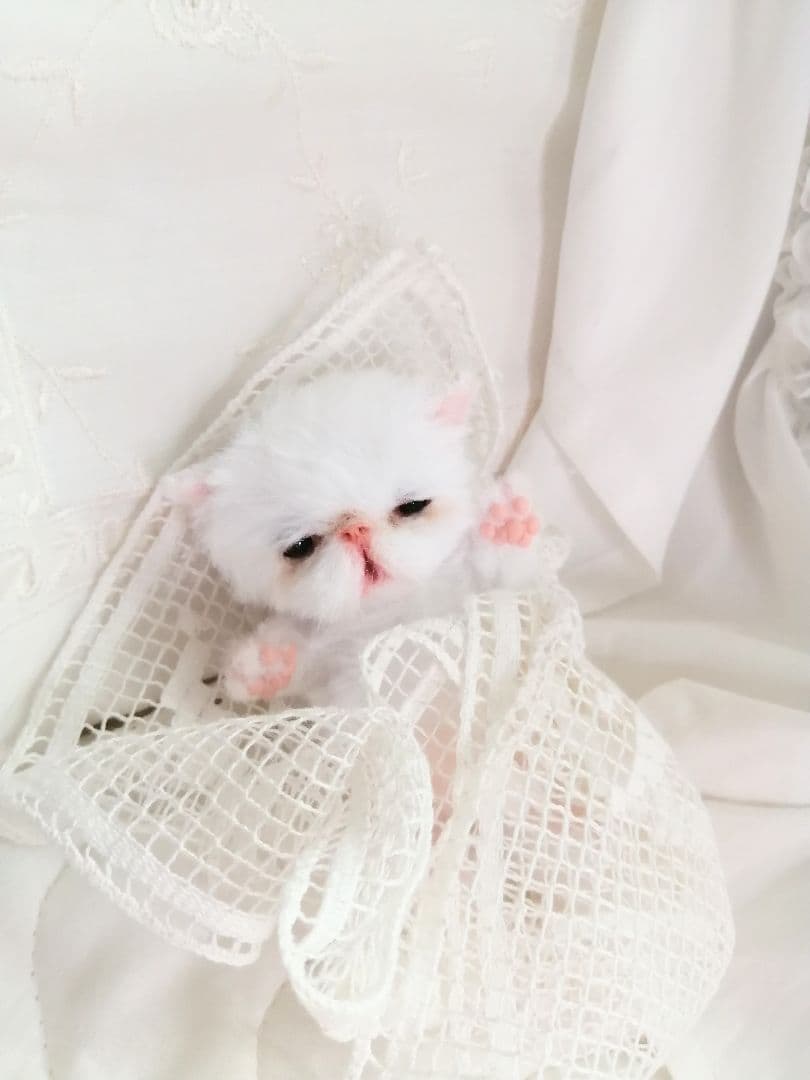 お寝坊さん♡おねむ子猫ちゃん(´ω｀ )zzZアートドール♡ぬいぐるみ♡ベビー