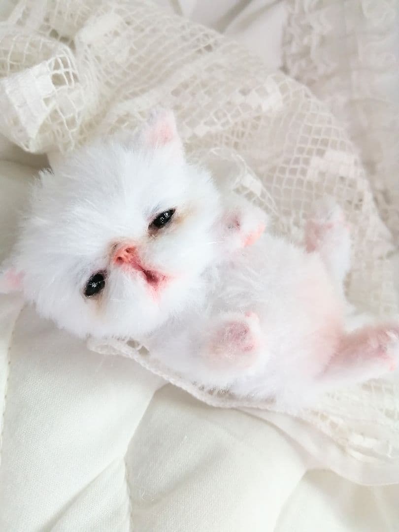 お寝坊さん♡おねむ子猫ちゃん(´ω｀ )zzZアートドール♡ぬいぐるみ♡ベビー