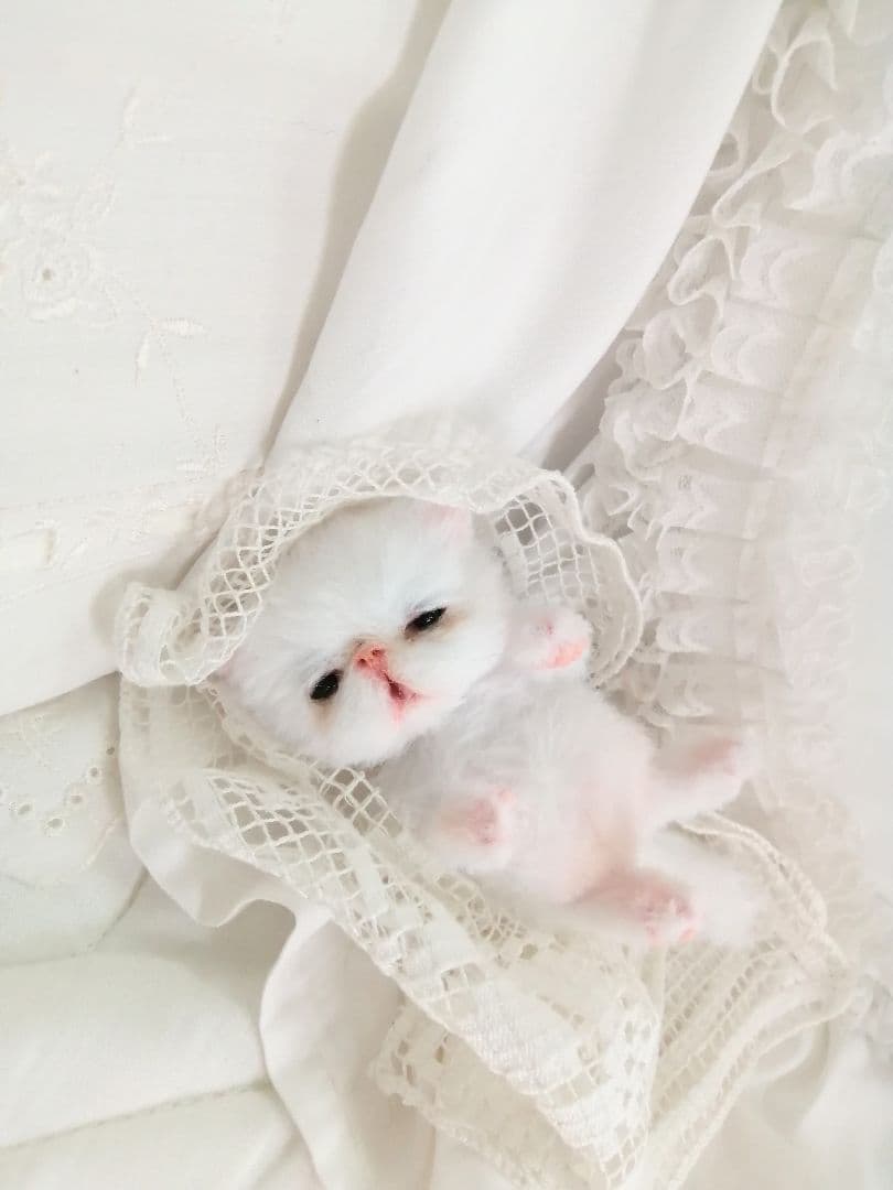 お寝坊さん♡おねむ子猫ちゃん(´ω｀ )zzZアートドール♡ぬいぐるみ♡ベビー