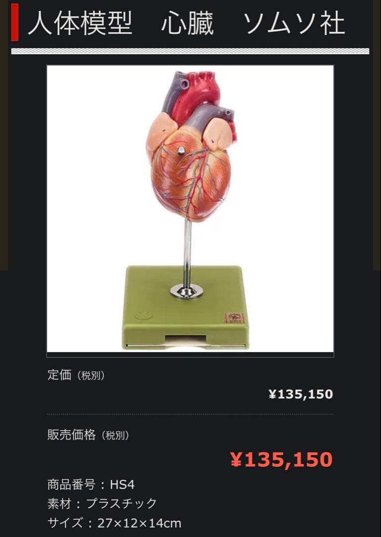ドイツ SOMSO社 心臓模型 30cm 高