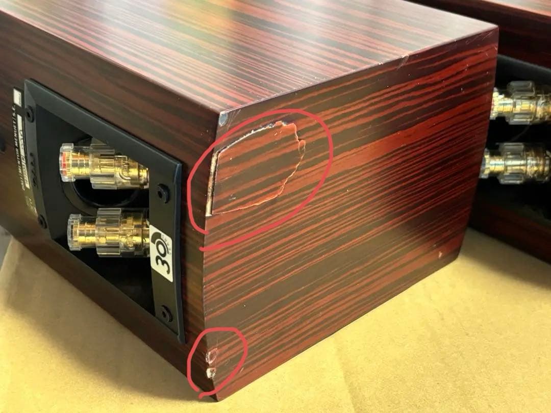 DALI Mentor Menuet SE （30周年記念モデル）