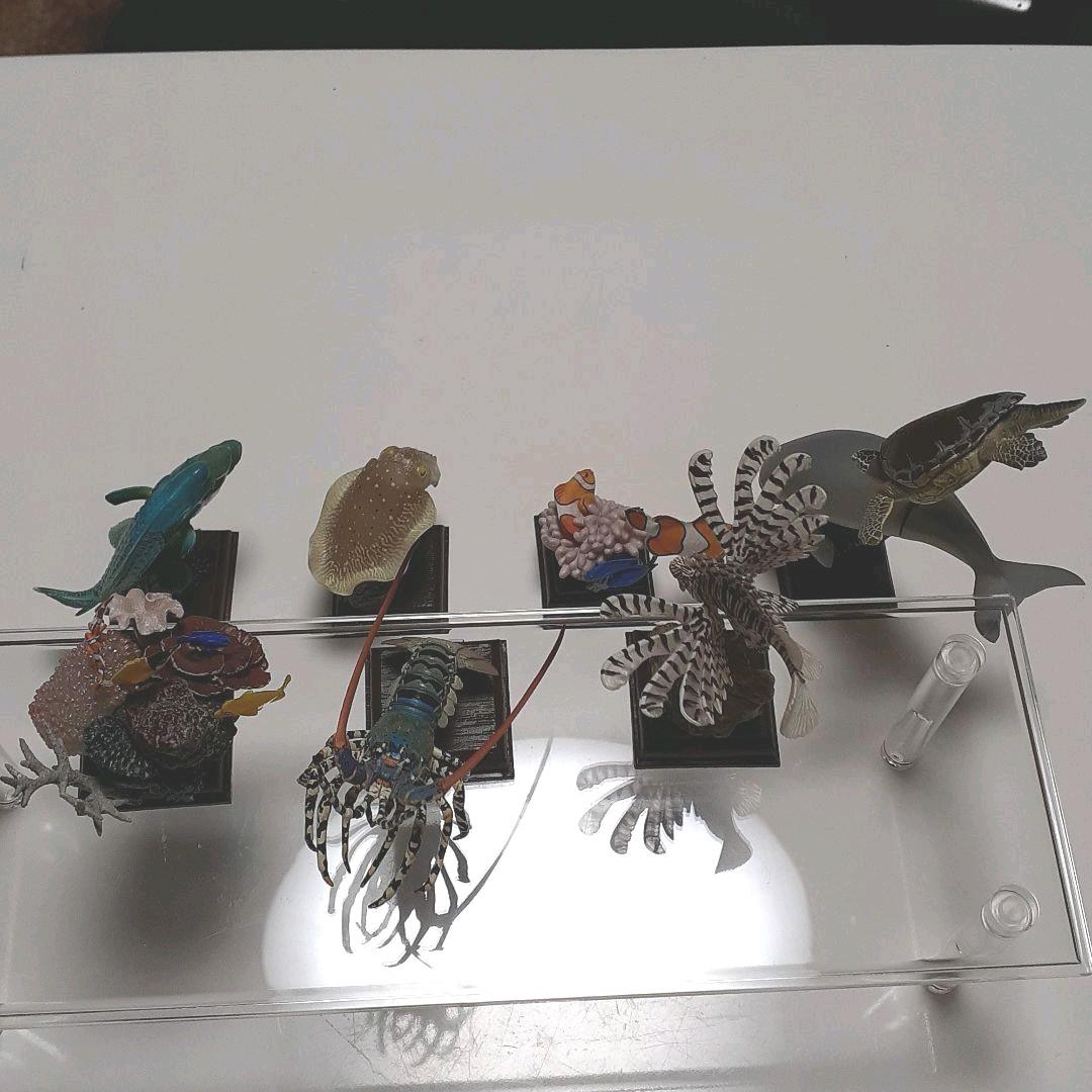 フィギュア　鳥羽水族館立体コレクション