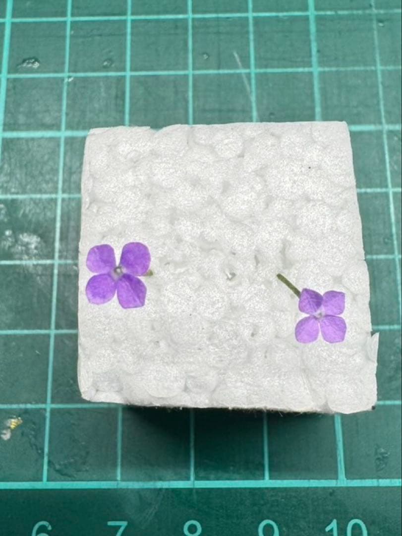 【オーダー用】あんぱん様