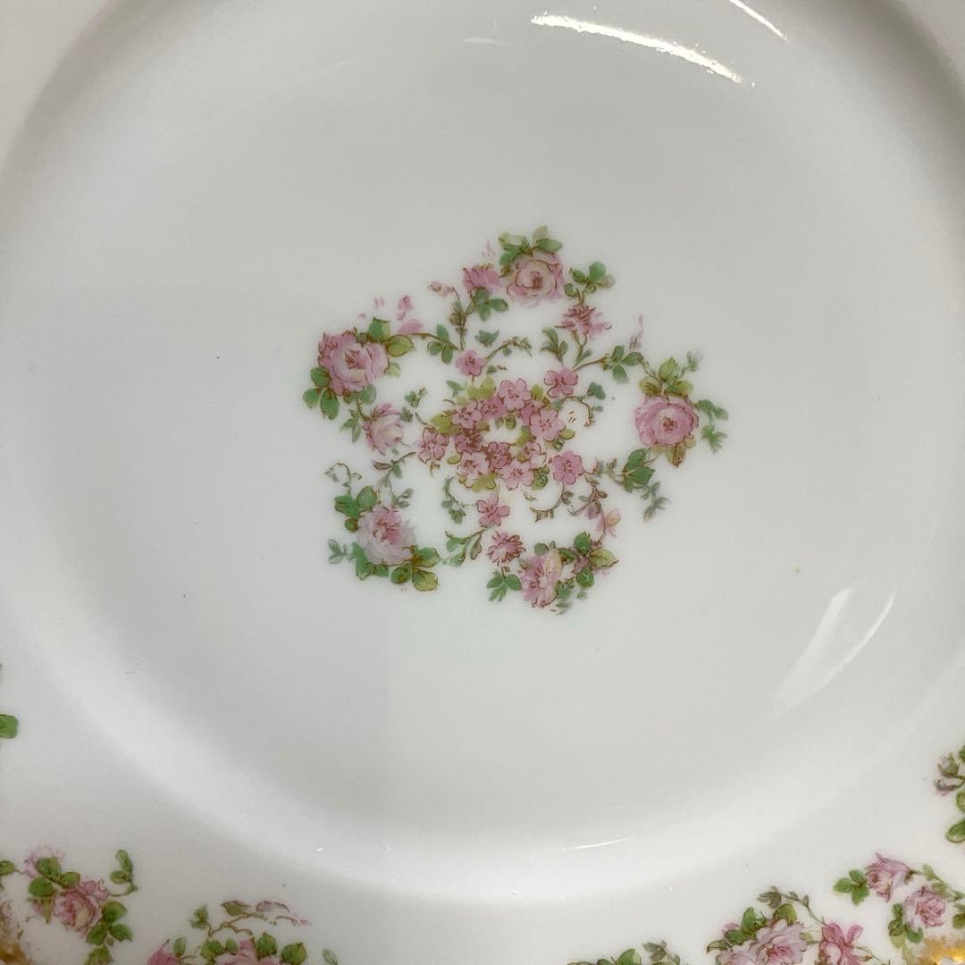 ご確認用アビランド　リモージュ　270 カップ&ソーサー　19cmプレート　①