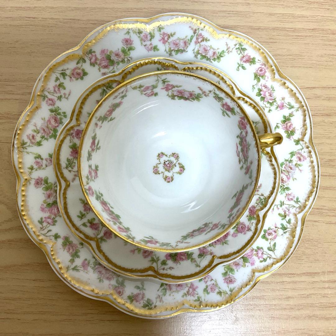 ご確認用アビランド　リモージュ　270 カップ&ソーサー　19cmプレート　①