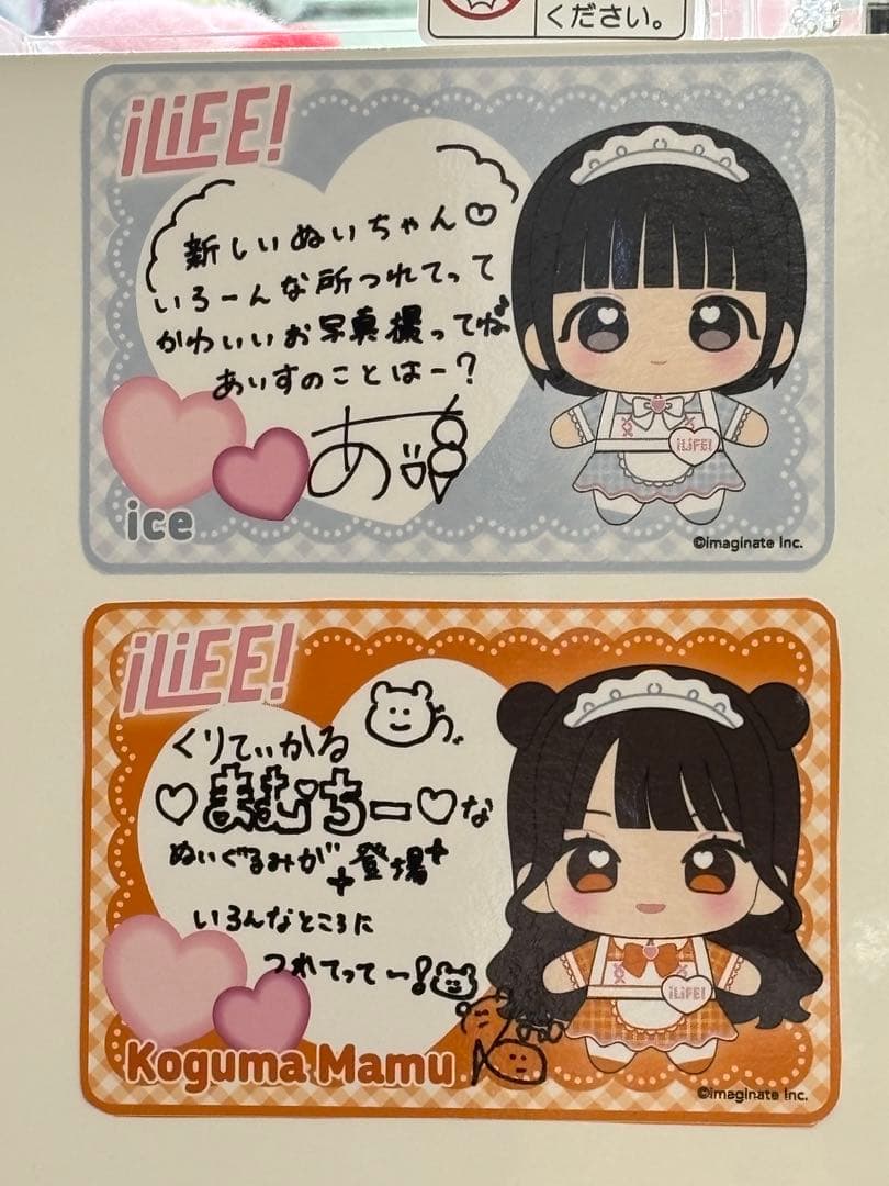 ｉＬｉＦＥ！マスコット[小熊まむ] ソユー・楽市楽座・アドアーズ限定 あいらいふ