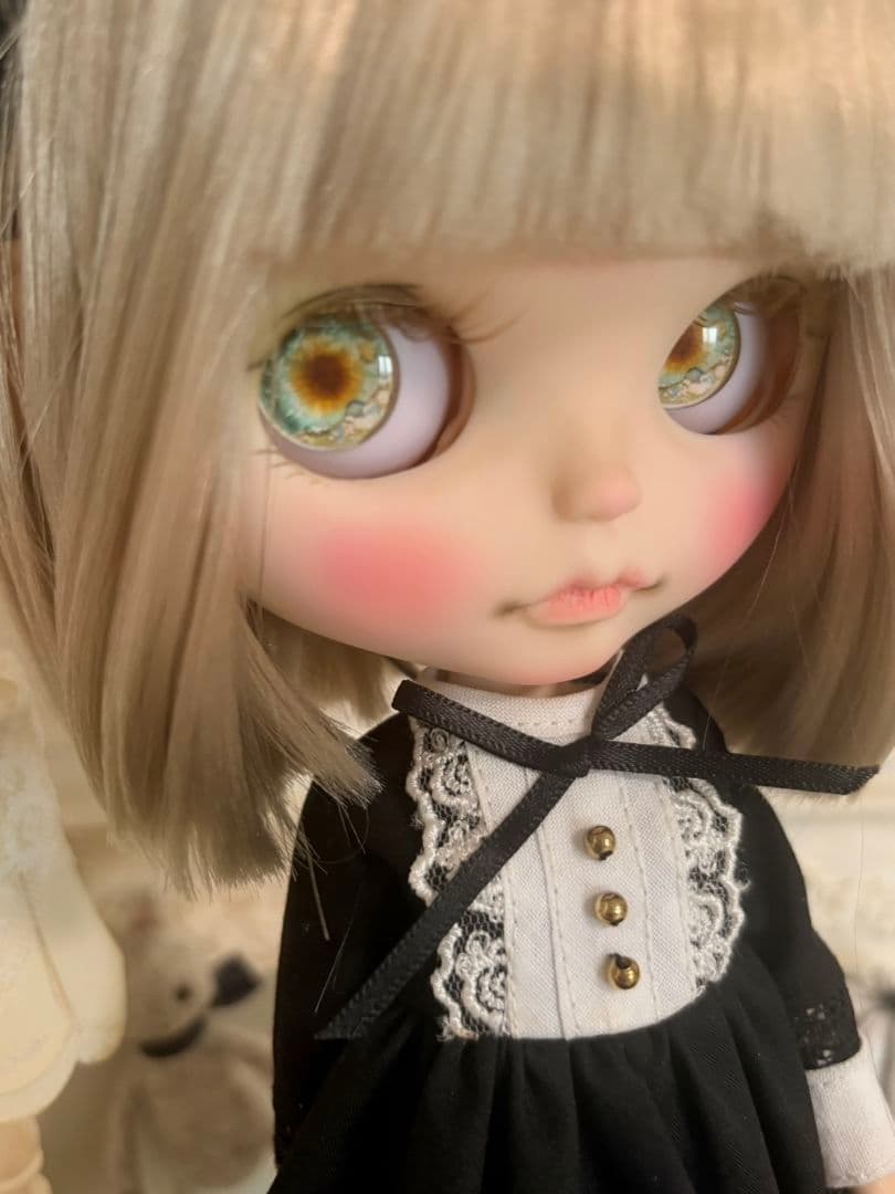 専用ꕤ.。アイシードールꕤ.。ネオサイズ