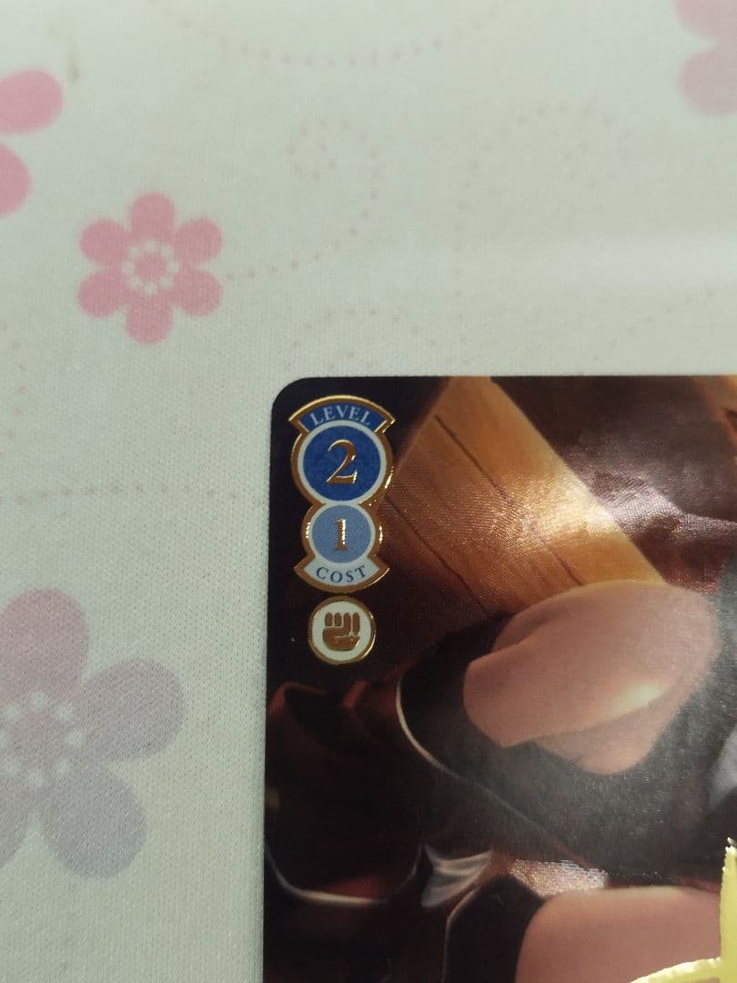 ヴァイスシュヴァルツロゼ　アクアプラス　昔語り　カルラ　PR+　サイン