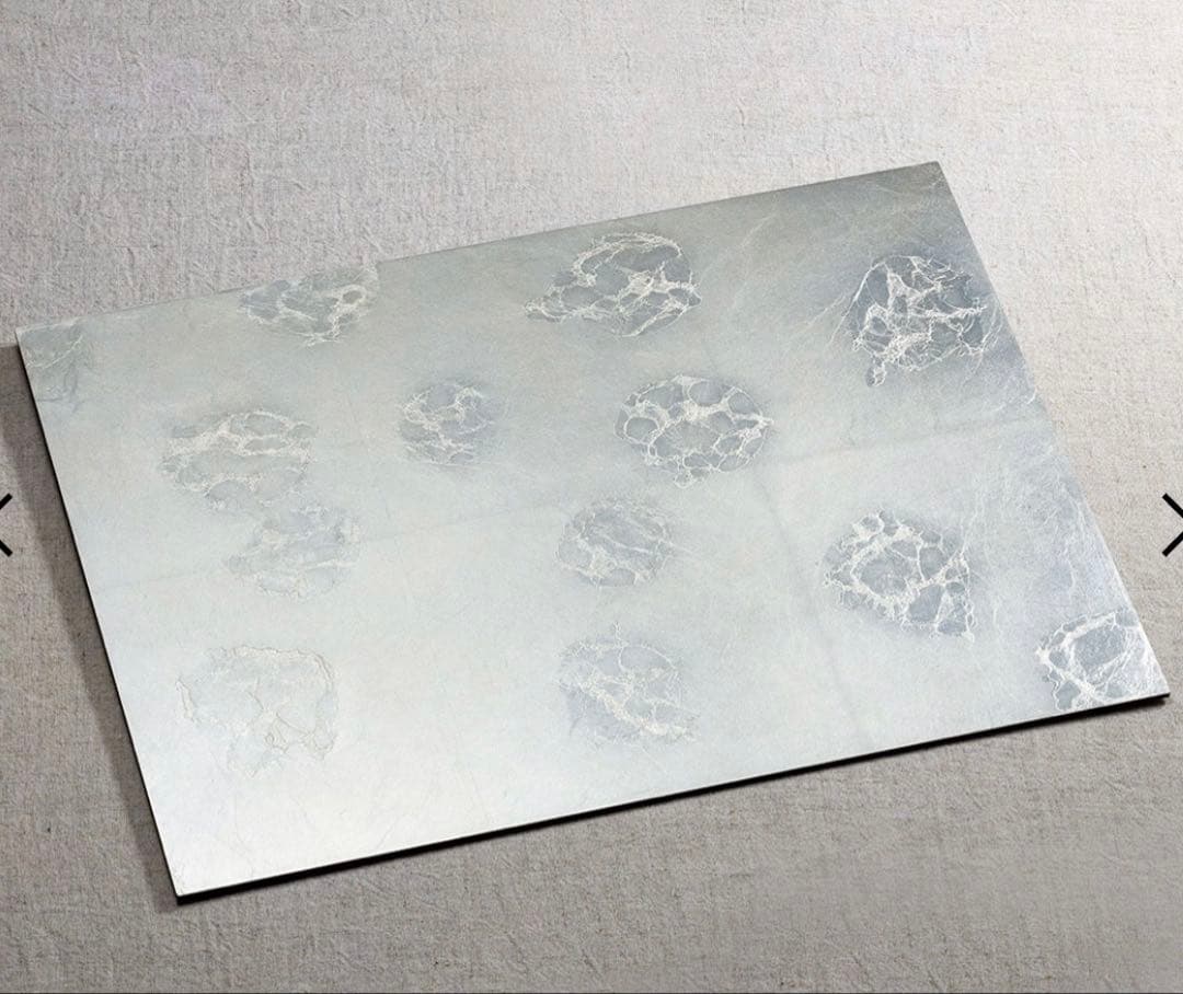 2枚セット　HAKU LA TABLE テーブルマット FLEUR