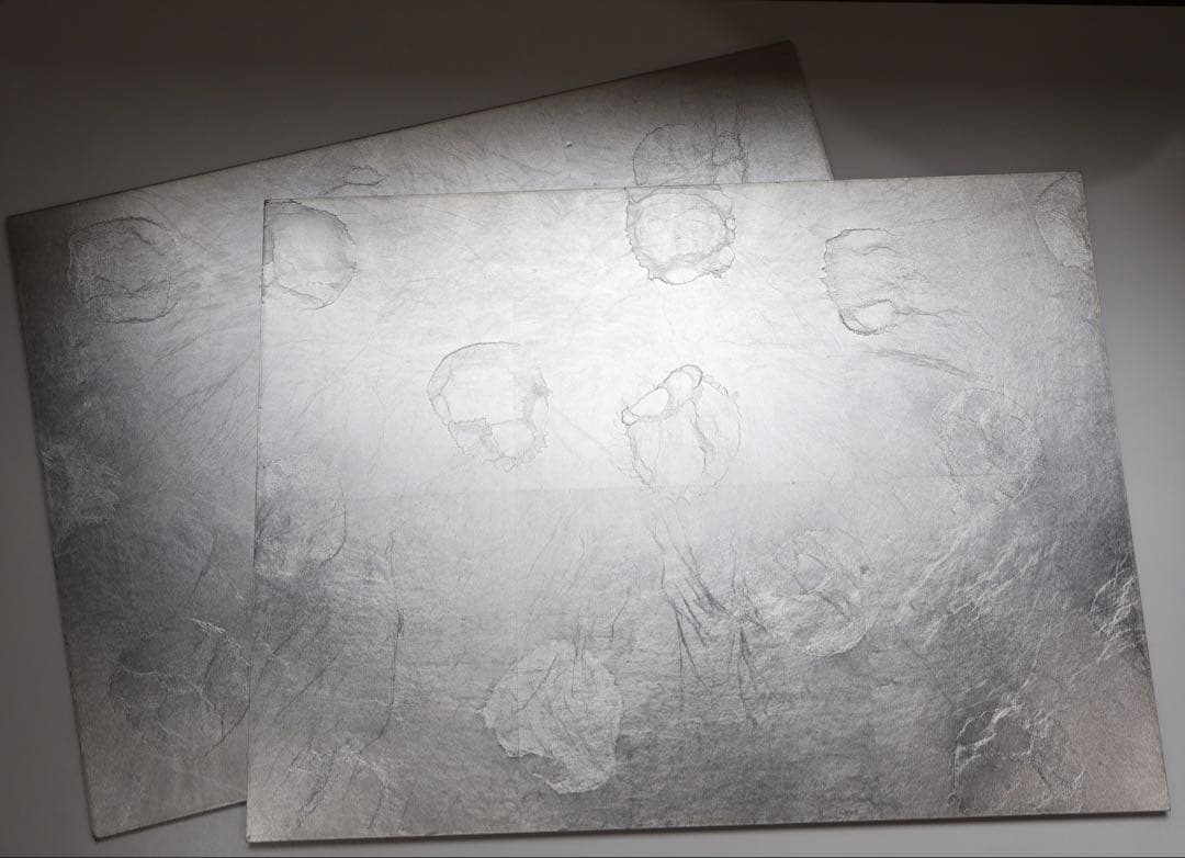 2枚セット　HAKU LA TABLE テーブルマット FLEUR