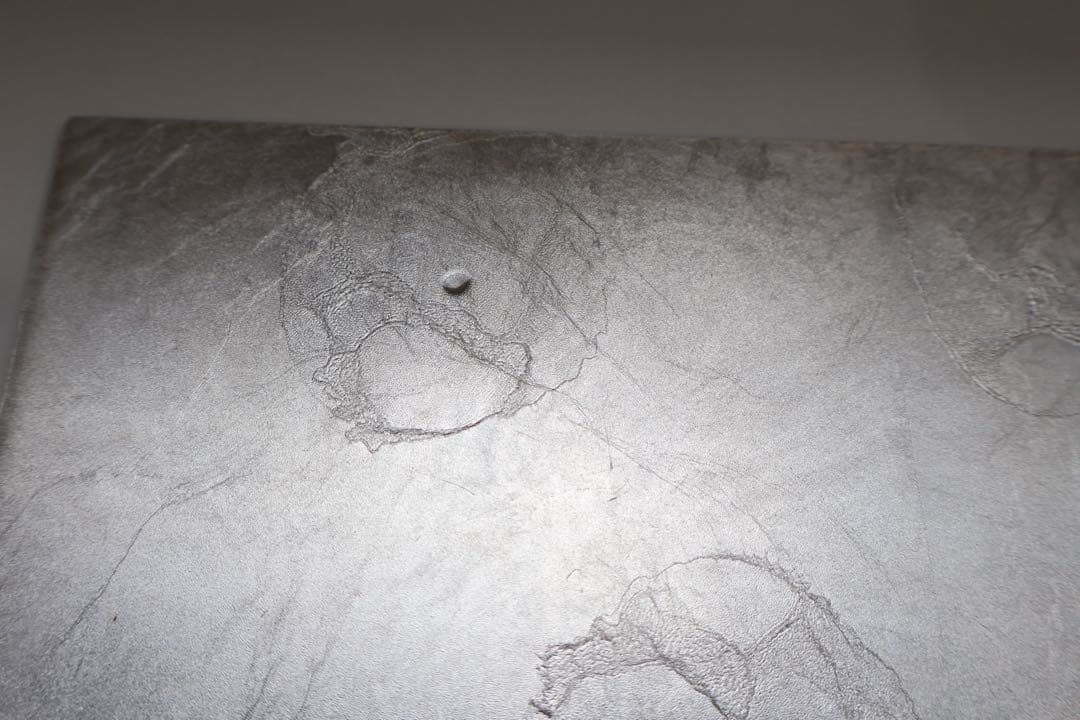 2枚セット　HAKU LA TABLE テーブルマット FLEUR