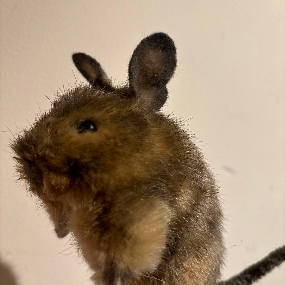 作家様　受注生産品　デグー　ぬいぐるみ