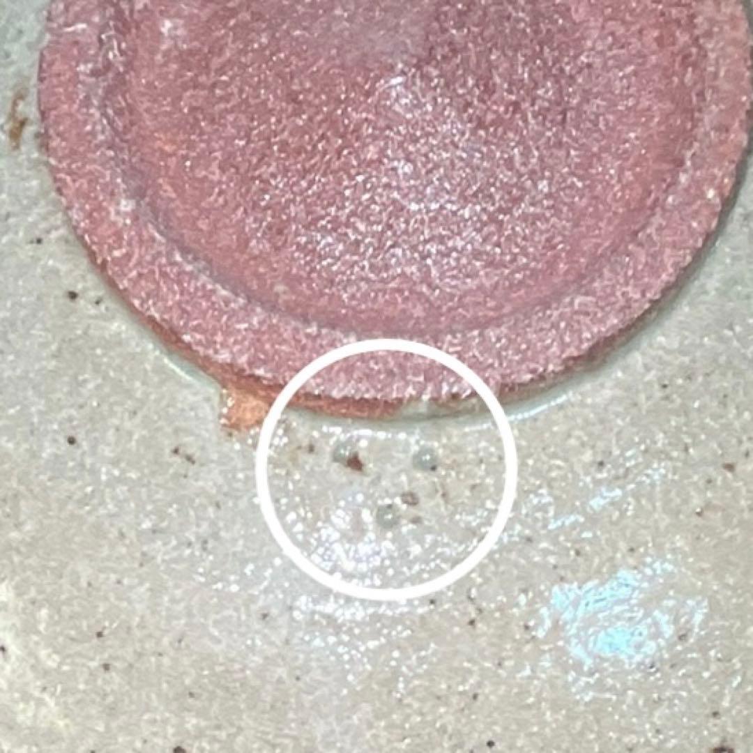 十三代 中里太郎右衛門陶房 絵唐津 松文皿 22cm 共箱 栞付 唐津焼