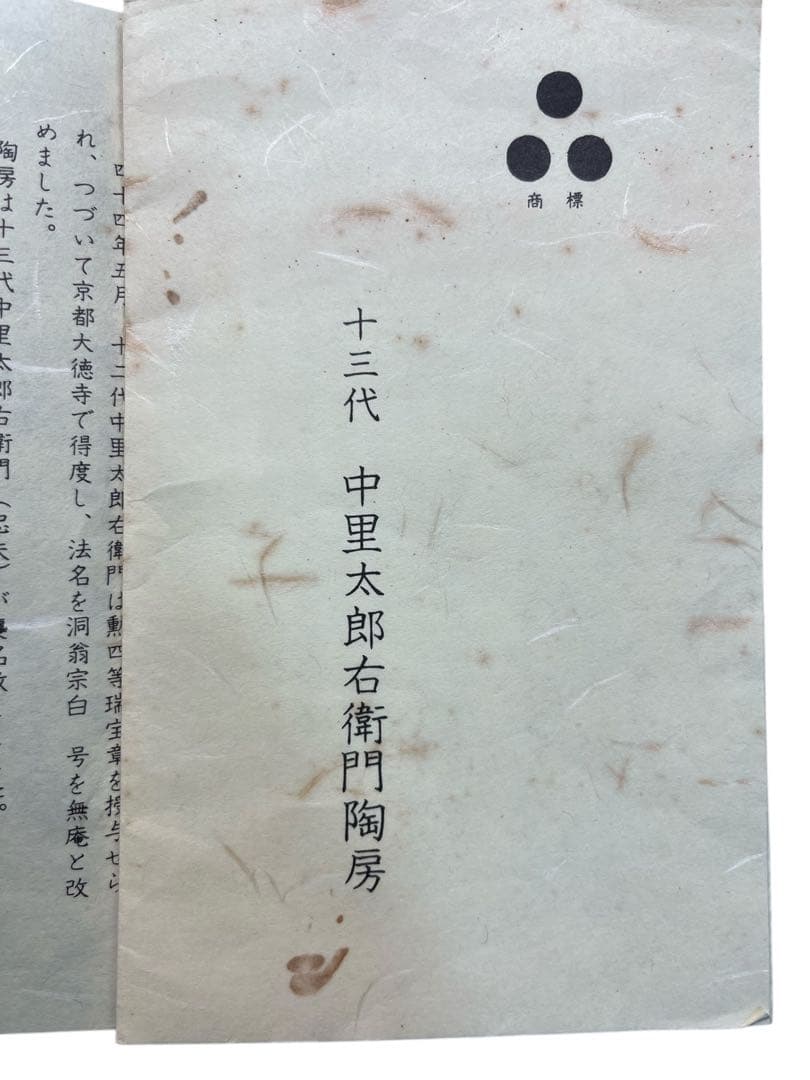 十三代 中里太郎右衛門陶房 絵唐津 松文皿 22cm 共箱 栞付 唐津焼