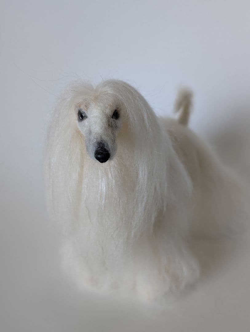 羊毛フェルト☆白いアフガンハウンド