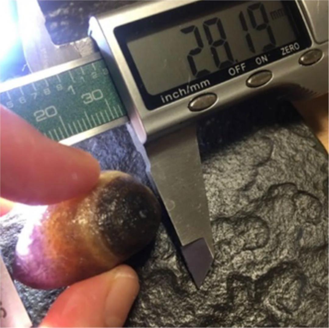 スミレ筋脈眼共生 瑪瑙❗️稀少❗️モンゴルゴビアラシャン瑪瑙 原石 眼石無傷