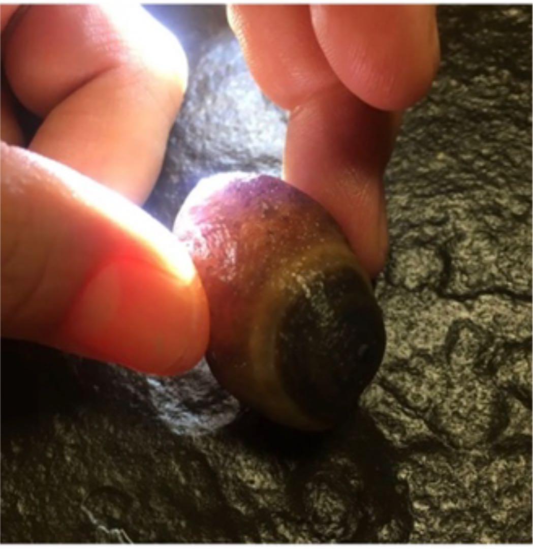 スミレ筋脈眼共生 瑪瑙❗️稀少❗️モンゴルゴビアラシャン瑪瑙 原石 眼石無傷