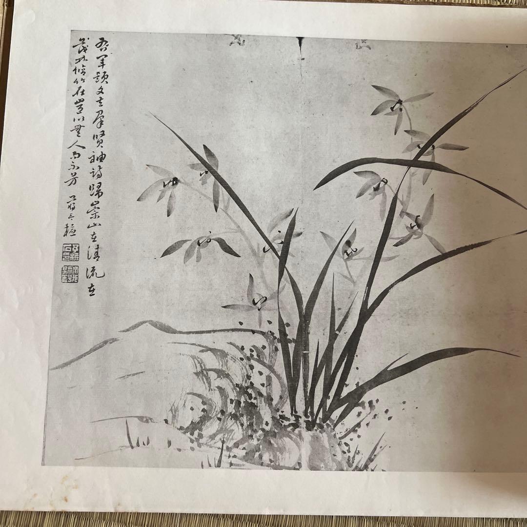 《蒋予检墨蘭册》清雅堂出版 1966