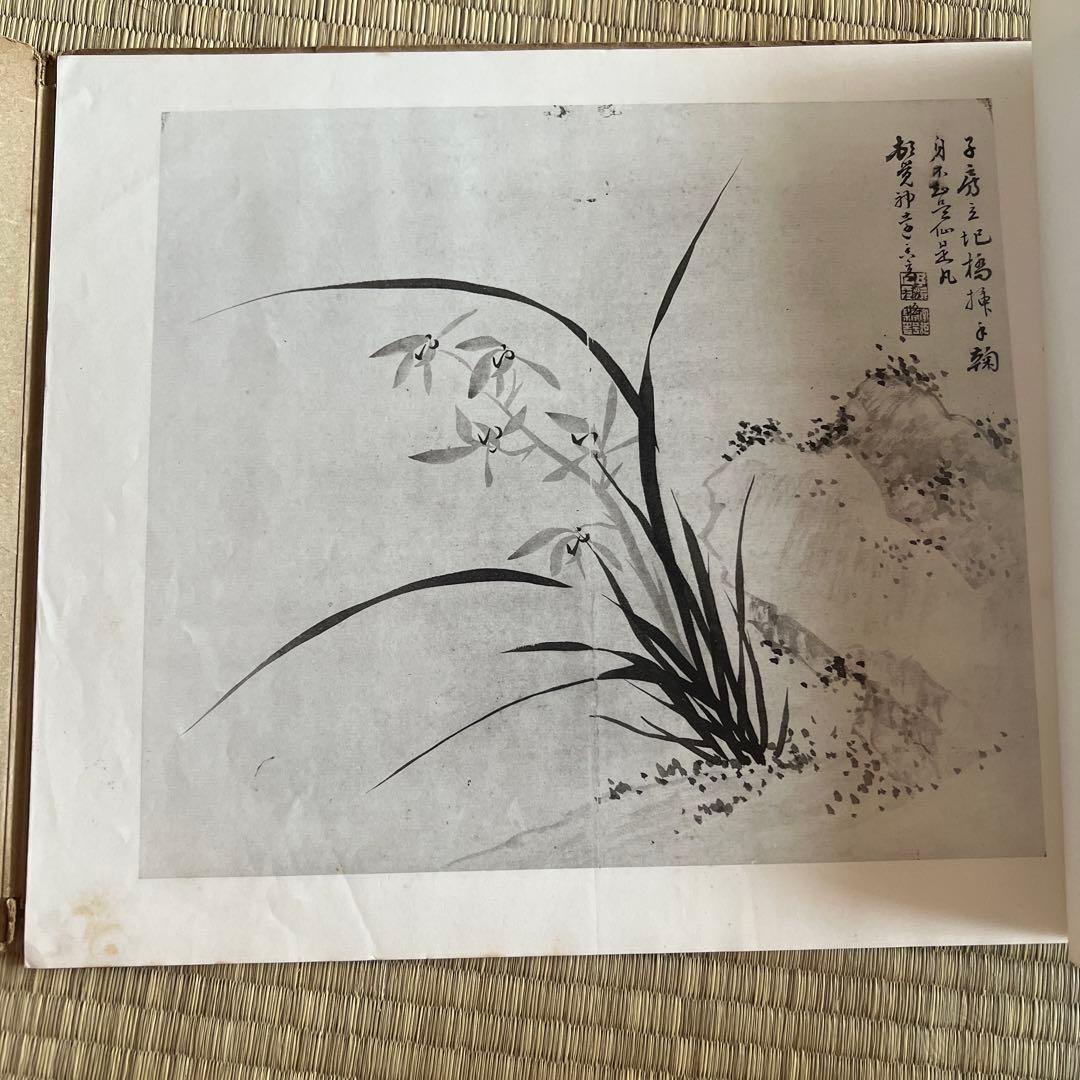 《蒋予检墨蘭册》清雅堂出版 1966