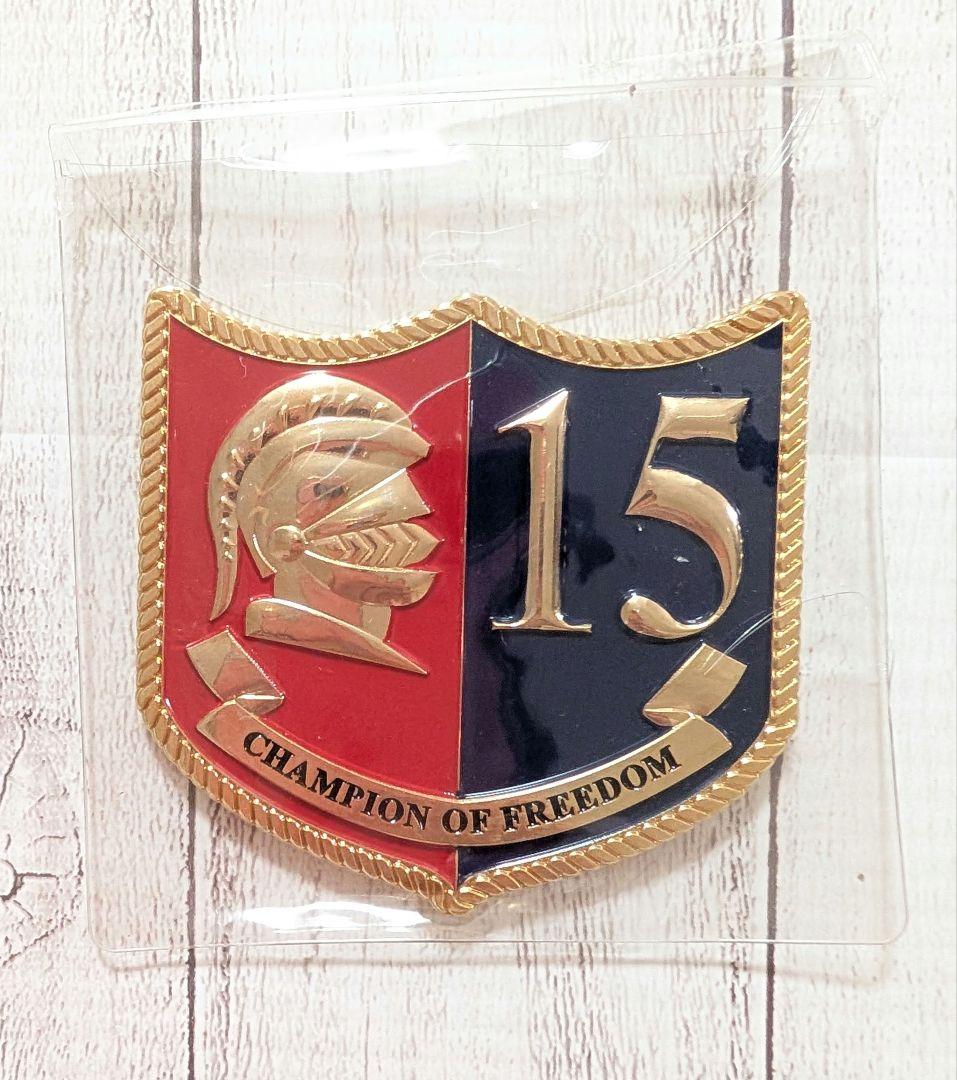 米海軍 第15駆逐艦隊 チャレンジ メダル