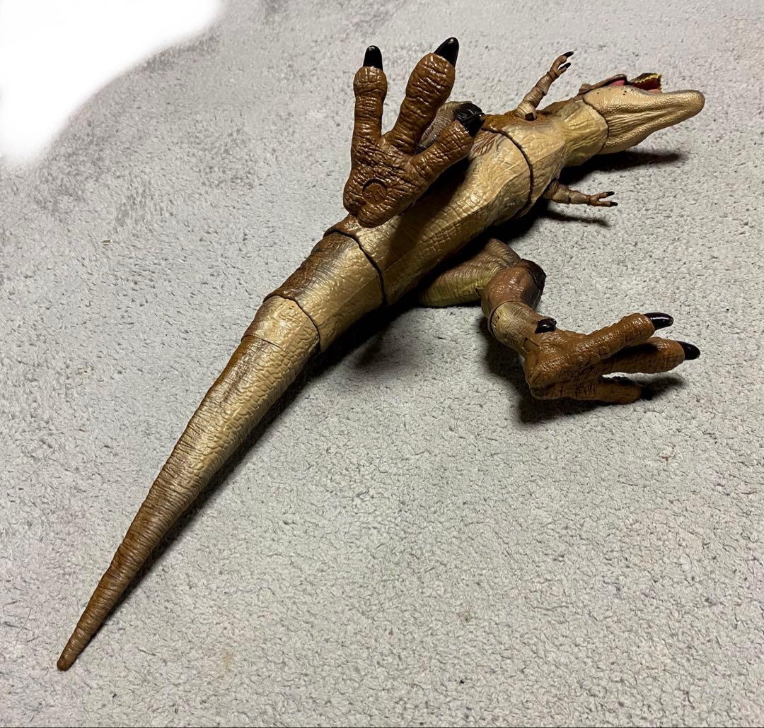 ハモンドコレクション　ティラノサウルス マテル