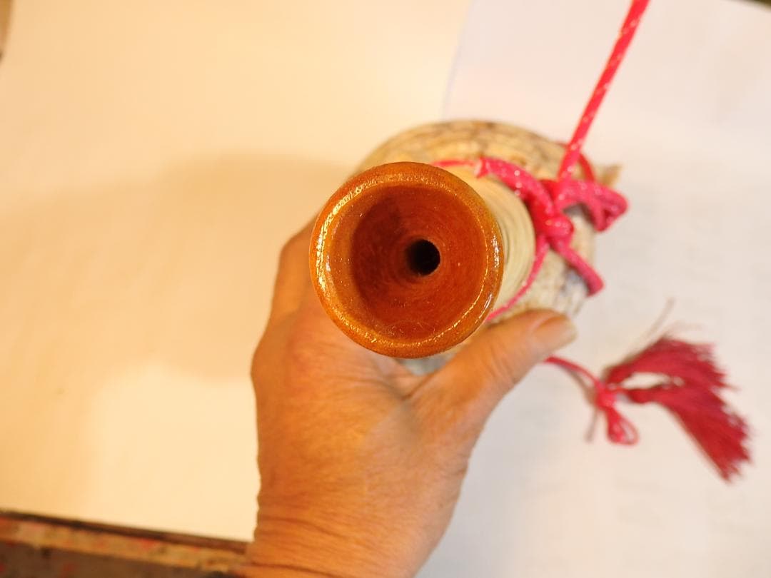 法螺貝 約40㎝ 　木製歌口,赤紐付　 MH-441