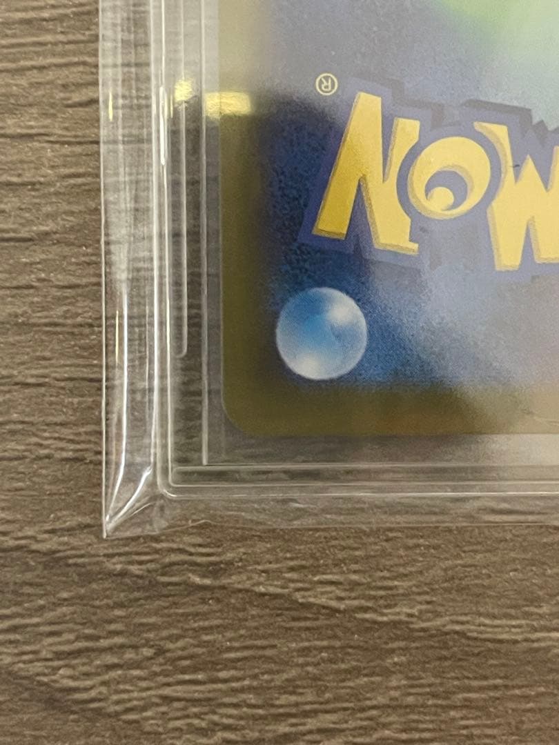 【美品！！】シロナのガブリアスSAR