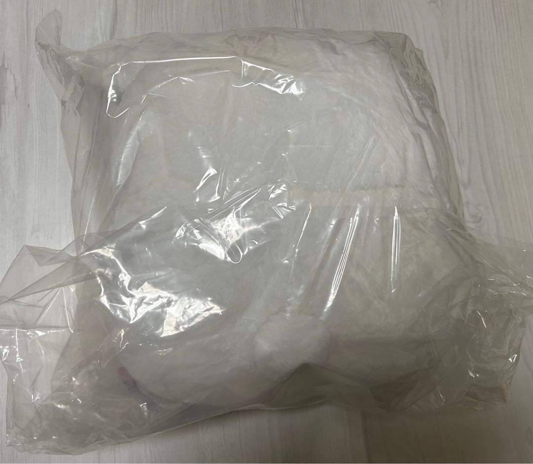 ちいかわ 重め！ぼっちゃり抱っこぬいぐるみ ちいかわ　③