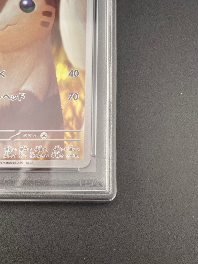 【鑑定品】 PSA10 オオタチ　AR　SV9 110/100 ポケモンカード