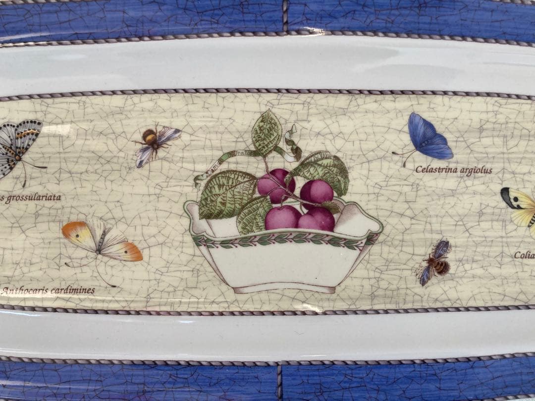 SARAH’S GARDEN 長皿&ケーキ皿　デザート皿フルーツ皿5枚セット