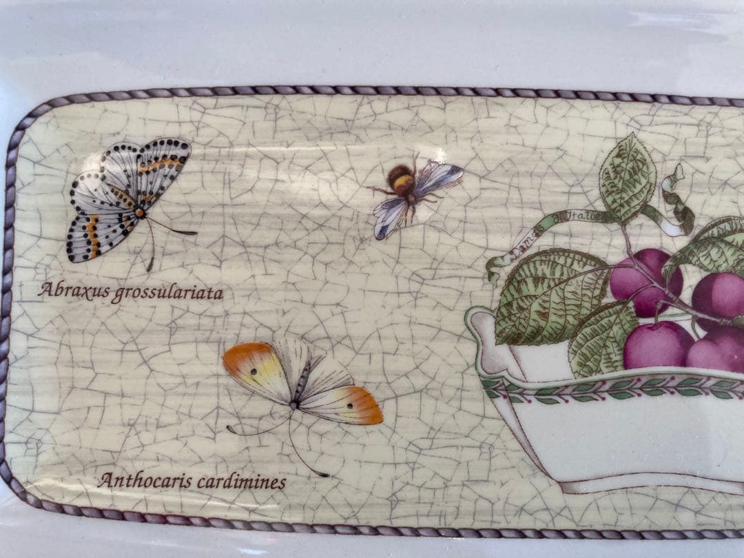 SARAH’S GARDEN 長皿&ケーキ皿　デザート皿フルーツ皿5枚セット