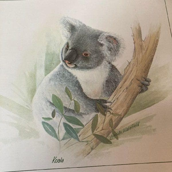 ニュージーランド製ヴィンテージ未使用*ジェイソン*コルク プレイスマット6枚