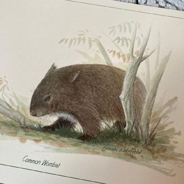 ニュージーランド製ヴィンテージ未使用*ジェイソン*コルク プレイスマット6枚