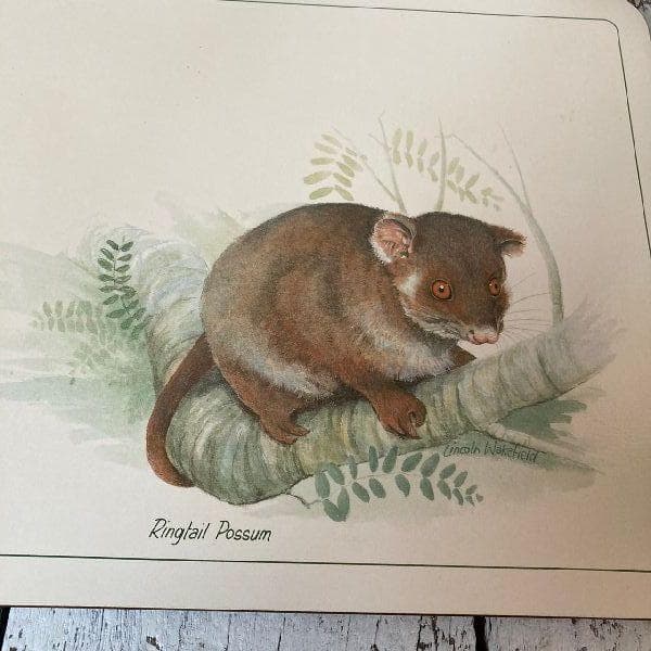 ニュージーランド製ヴィンテージ未使用*ジェイソン*コルク プレイスマット6枚