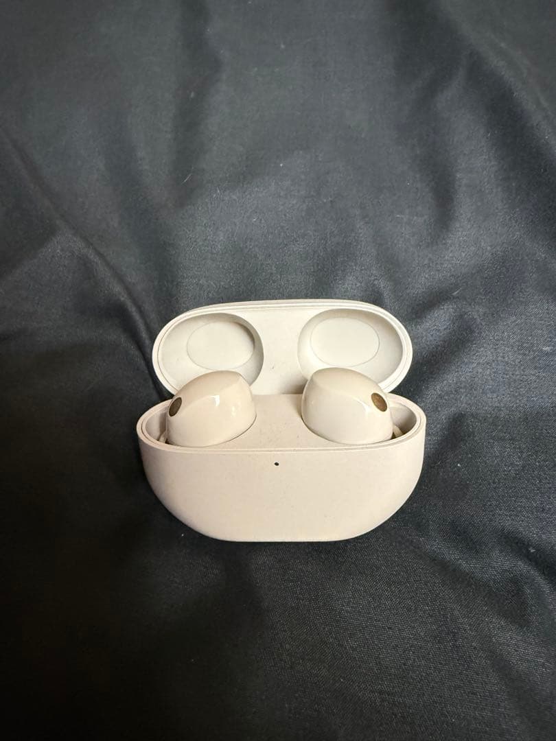 SONY ワイヤレスイヤホン WF-1000XM5 プラチナシルバー