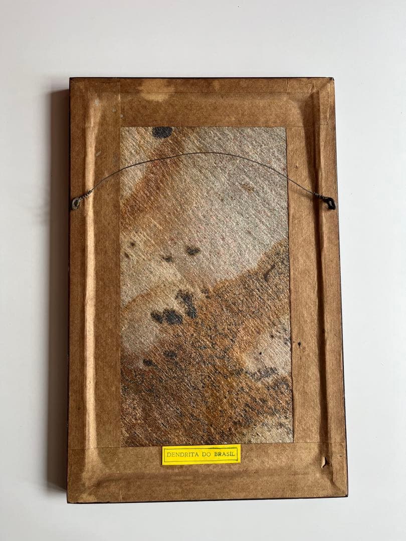 ブラジル　デンドライト　額装　アート　ヴィンテージ　ミッドセンチュリー　モダン