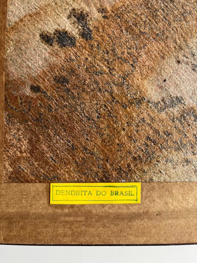 ブラジル　デンドライト　額装　アート　ヴィンテージ　ミッドセンチュリー　モダン