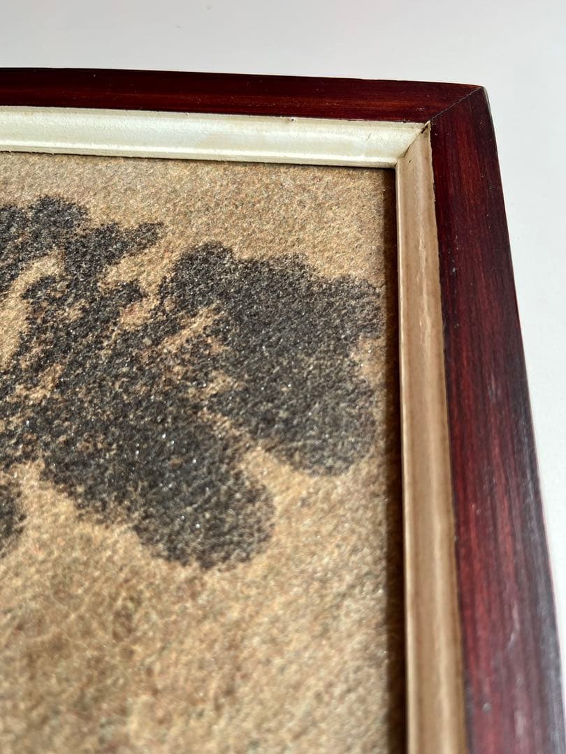 ブラジル　デンドライト　額装　アート　ヴィンテージ　ミッドセンチュリー　モダン