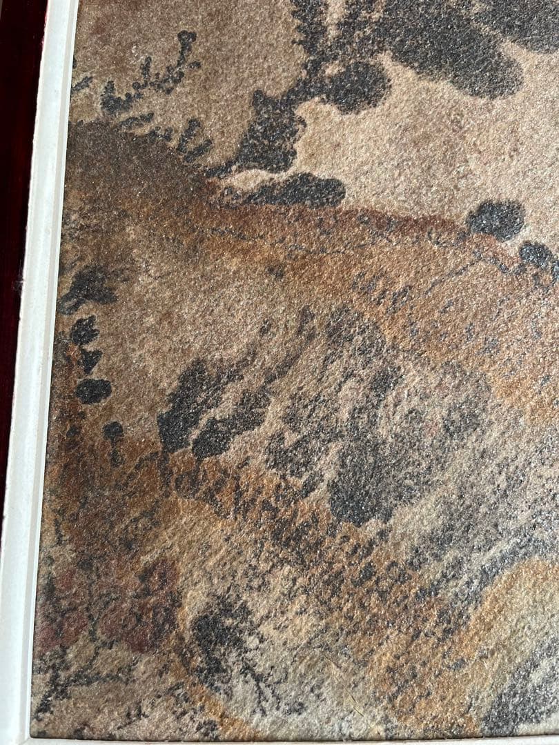 ブラジル　デンドライト　額装　アート　ヴィンテージ　ミッドセンチュリー　モダン