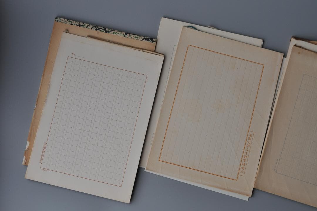 美品 ニコン D90 セット（18-105） & 50mm F1.4D