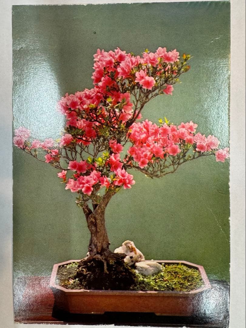 彦*ん様 中国切手 エンタイヤ1通