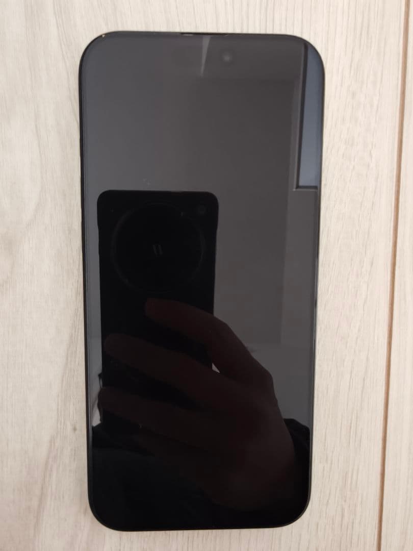 遥*　iPhone16 Pro Max 256GB 100% 付属品未使用