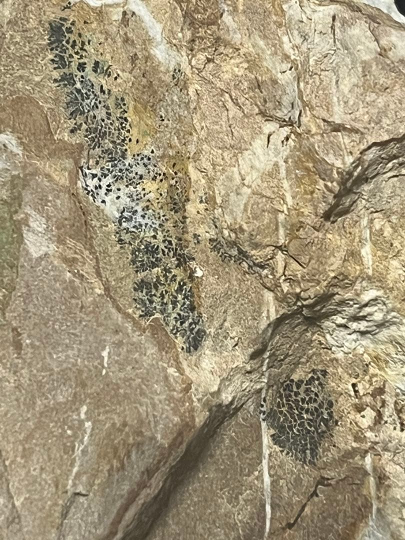 ブルーアラゴナイト 原石 台座　置物 鉱物1kg 海 天然石　ヘミモルファイト