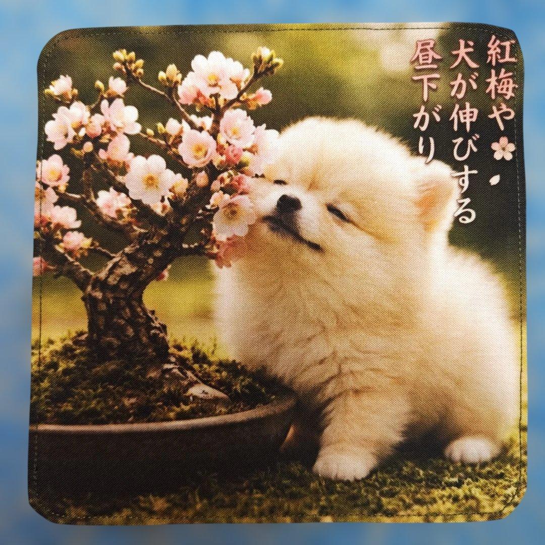 専用　ハンカチ　ネコちゃん柄1/26　ハンドメイド　20枚